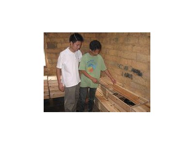 烏梢蛇立體養殖