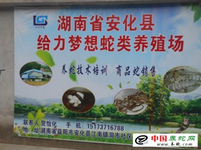 烏梢蛇養殖基地