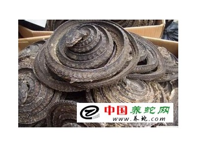 烏梢蛇的養殖方法