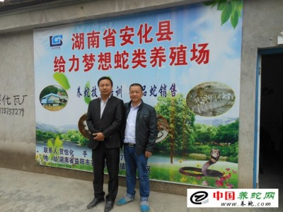 中國眼鏡蛇養殖基地