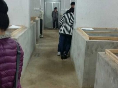 山東五步蛇養(yǎng)殖基地