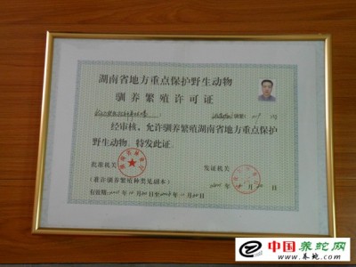 湖南五步蛇養(yǎng)殖場