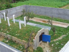 半露天蛇房建設(shè)圖_養(yǎng)蛇場(chǎng)的建造